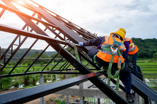 Best New Roof Installation  in Newk, AR