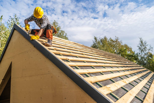Best Roof Replacement Cost  in Newk, AR