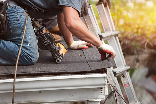 Best Gutter Installation and Roofing  in Newk, AR
