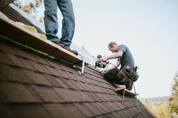 Best Storm Damage Roof Repair  in Newk, AR